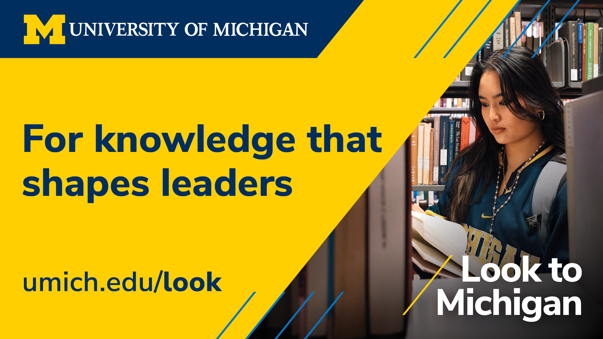 Look to Michigan general ad