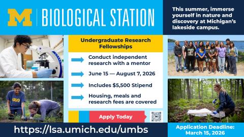 research-fellowship